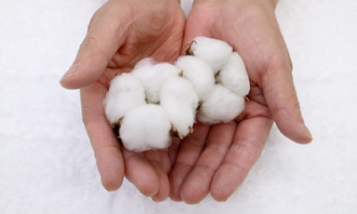当店の自社工場では綿の原材料となる「原綿」を仕入れ、製綿しております