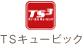 TSキュービック
