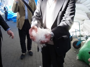 羽根混じってる。てことは選別・洗浄前ですよね。