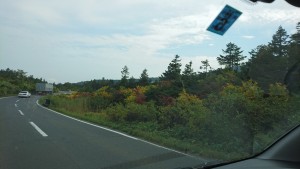 %e3%83%96%e3%83%ad%e3%82%b01005